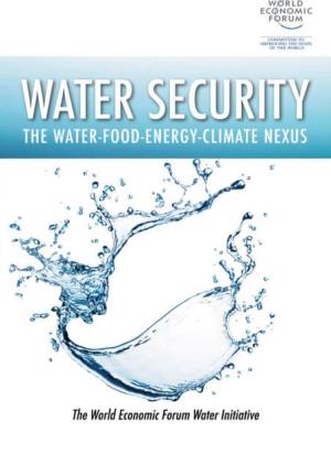 Water Security Water Security the Water-Food-Energy-Climate Nexus
