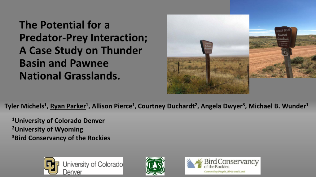 Predator-Prey Relationships Between Mountain Plover, Burrowing Owl