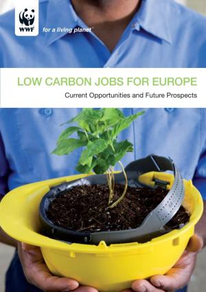 Low Carbon Jobs for Europe