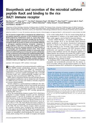 Biosynthesis and Secretion of the Microbial Sulfated Peptide Raxx and Binding to the Rice XA21 Immune Receptor