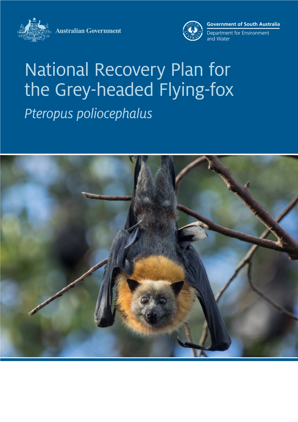 National Recovery Plan for the Grey Headed Flying