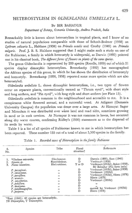 Oldenlandia Umbellata L