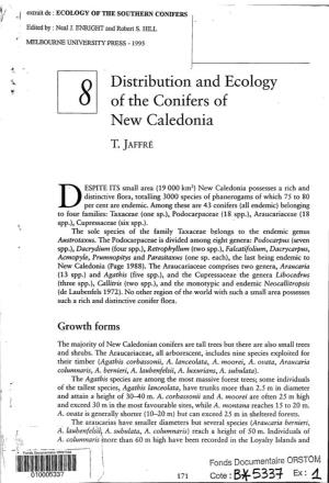 Distribution and Ecology of the Conifers of New Caledonia