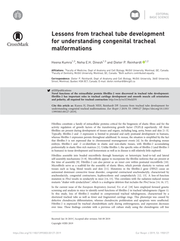 Lessons from Tracheal Tube Development for Understanding Congenital Tracheal Malformations