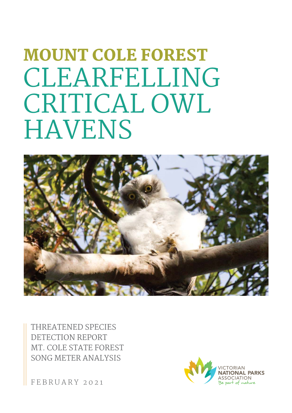 Mount Cole Forest Clearfelling Critical Owl Havens