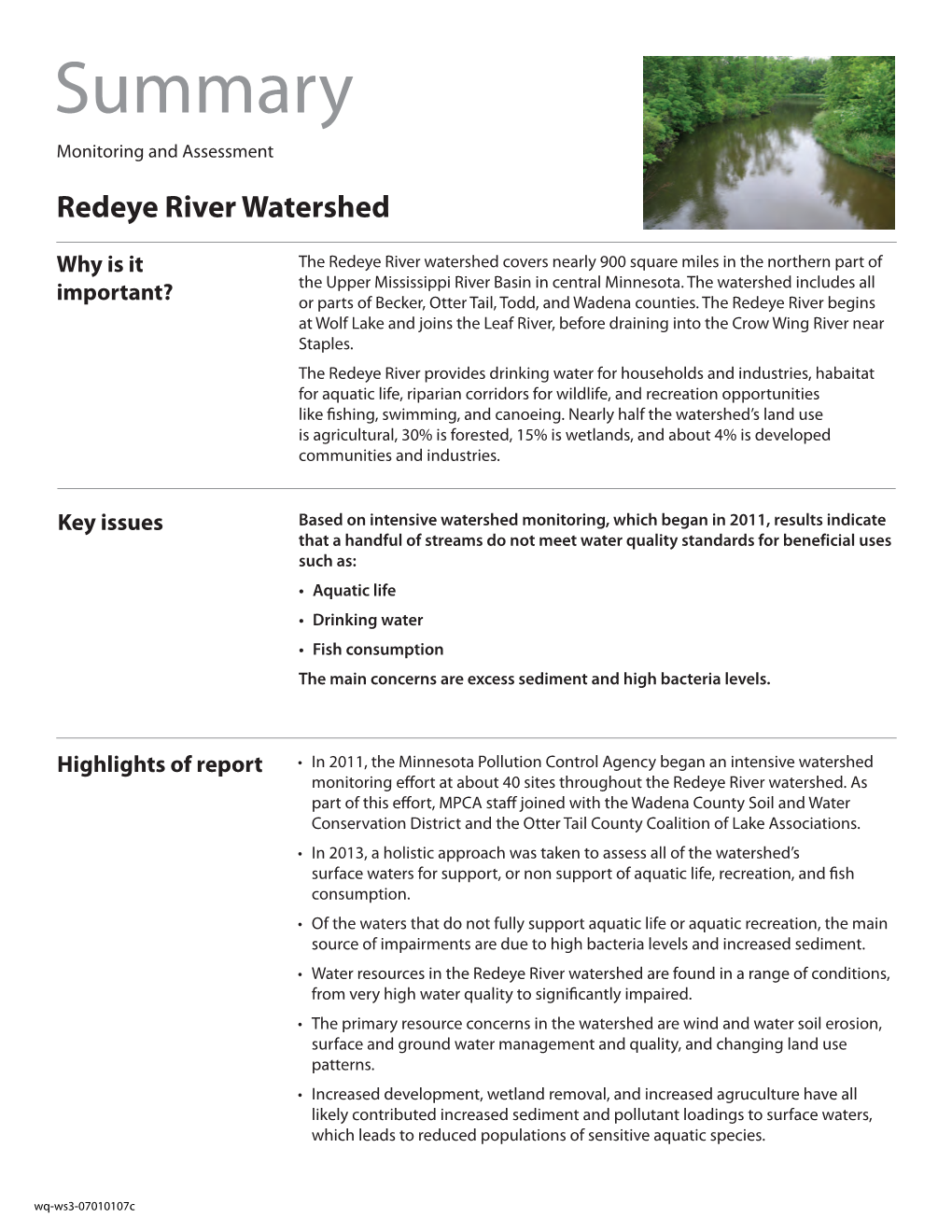Redeye River Watershed Monitoring and Assessment Report
