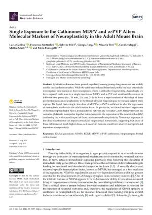Single Exposure to the Cathinones MDPV and Α-PVP Alters Molecular Markers of Neuroplasticity in the Adult Mouse Brain