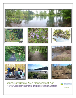 Draft Spring Park Management Plan 2013