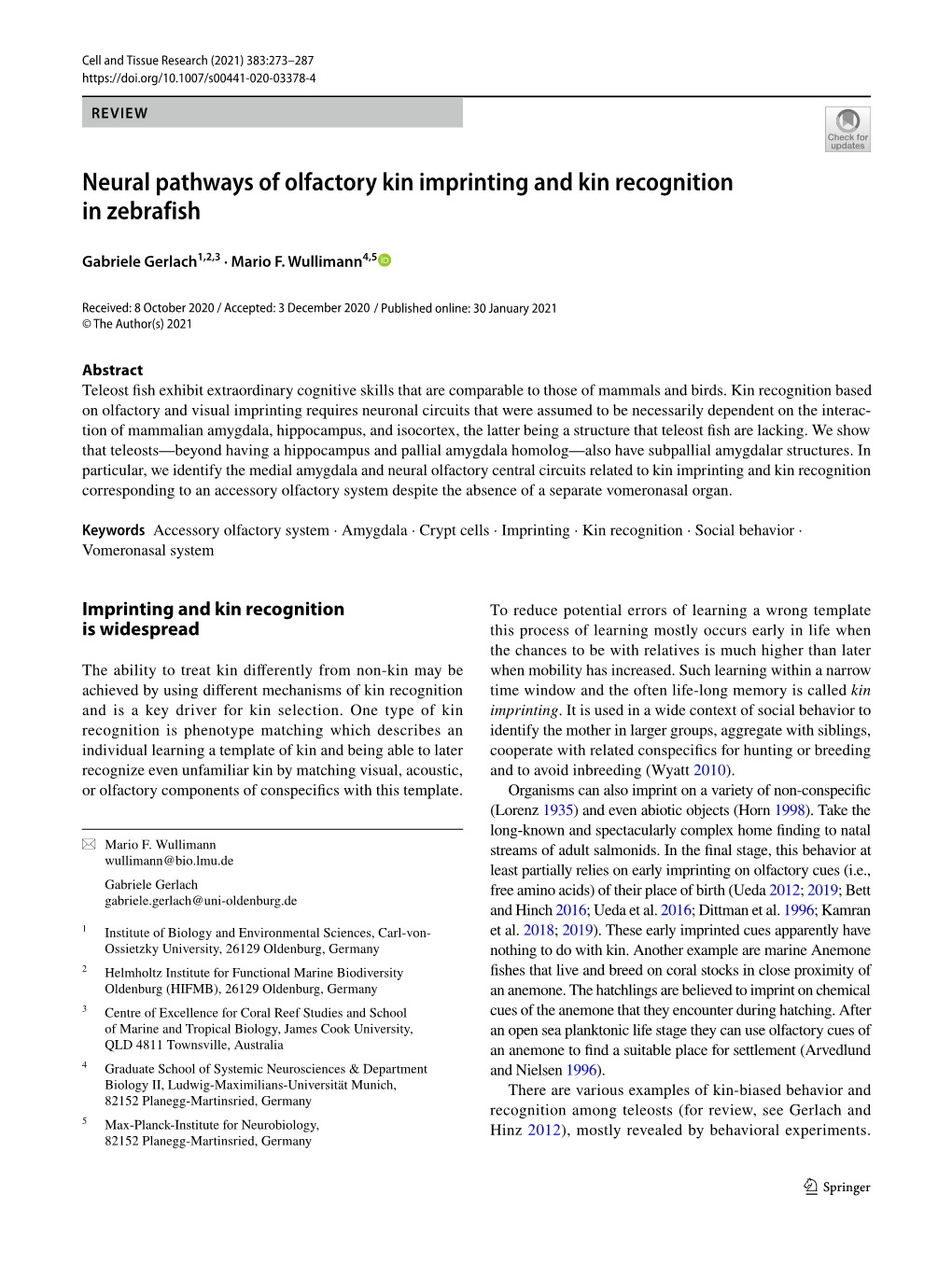 Neural Pathways of Olfactory Kin Imprinting and Kin Recognition in Zebrafish