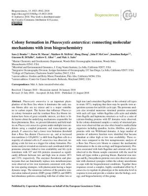 Colony Formation in Phaeocystis Antarctica: Connecting Molecular Mechanisms with Iron Biogeochemistry