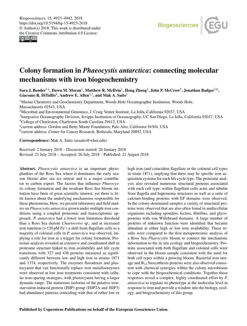 Colony Formation in Phaeocystis Antarctica: Connecting Molecular Mechanisms with Iron Biogeochemistry