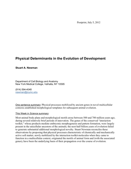Physical Determinants in the Evolution of Development