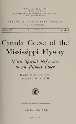Canada Geese of the Mississippi Flyway