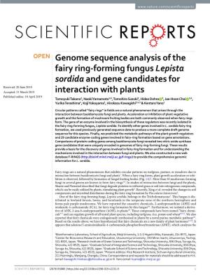 Genome Sequence Analysis of the Fairy Ring-Forming Fungus Lepista