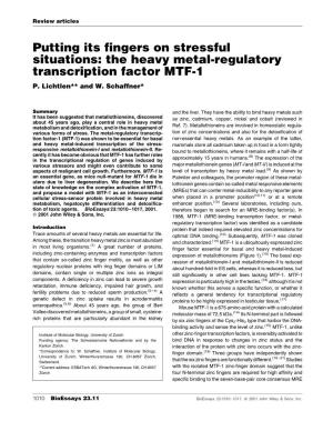 The Heavy Metal-Regulatory Transcription Factor MTF-1