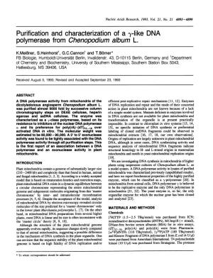 Purification and Characterization of a Y-Like DNA Polymerase from Chenopodium Album L