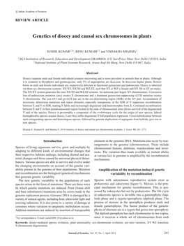 Genetics of Dioecy and Causal Sex Chromosomes in Plants
