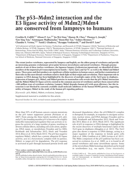 The P53–Mdm2 Interaction and the E3 Ligase Activity of Mdm2/Mdm4 Are Conserved from Lampreys to Humans