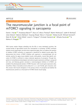 The Neuromuscular Junction Is a Focal Point of Mtorc1 Signaling in Sarcopenia
