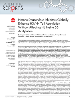 Histone Deacetylase Inhibitors Globally