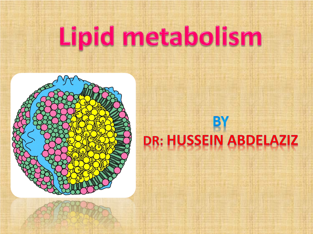 Lipid Metabolism