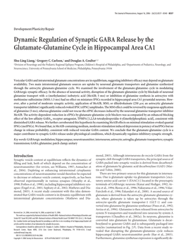 Dynamic Regulation of Synaptic GABA Release by the Glutamate-Glutamine Cycle in Hippocampal Area CA1