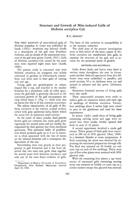 Structure and Growth of Mite-Induced Galls of Hoberia Sexstylosa Col