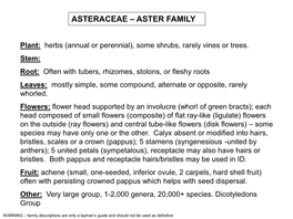 Asteraceae – Aster Family