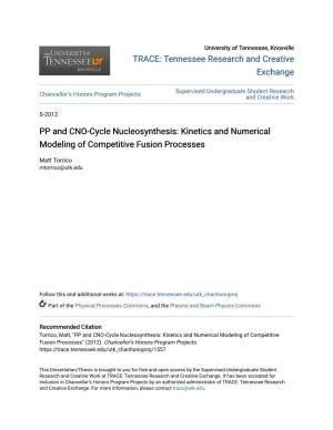 PP and CNO-Cycle Nucleosynthesis: Kinetics and Numerical Modeling of Competitive Fusion Processes