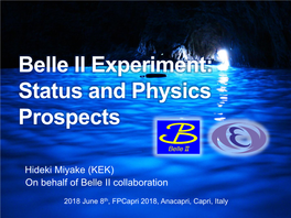 Belle II Experiment: Status and Physics Prospects