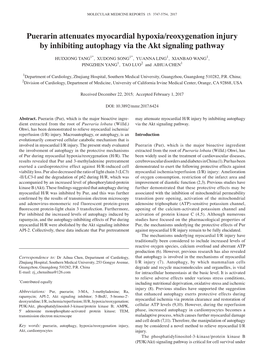 Puerarin Attenuates Myocardial Hypoxia/Reoxygenation Injury by Inhibiting Autophagy Via the Akt Signaling Pathway