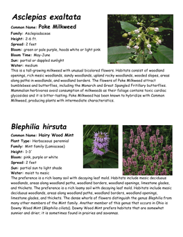 Asclepias Exaltata Common Name: Poke Milkweed Family: Asclepiadaceae Height: 2-6 Ft