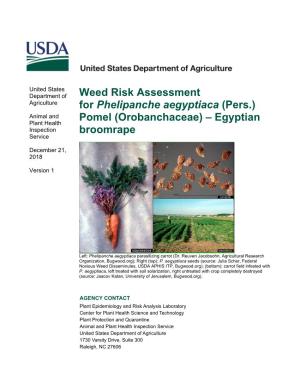Weed Risk Assessment for Phelipanche Aegyptiaca (Pers.) Pomel (Orobanchaceae) – Egyptian Broomrape