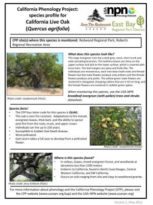 Species Profile for California Live Oak (Quercus Agrifolia)