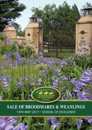 2017 Summerhill Stud Sale of Mares and Weanlings