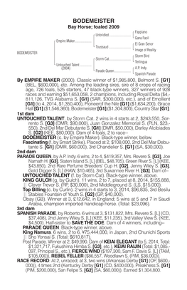 BODEMEISTER Bay Horse; Foaled 2009 Fappiano Unbridled