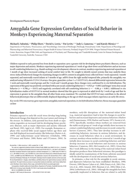 Amygdala Gene Expression Correlates of Social Behavior in Monkeys Experiencing Maternal Separation