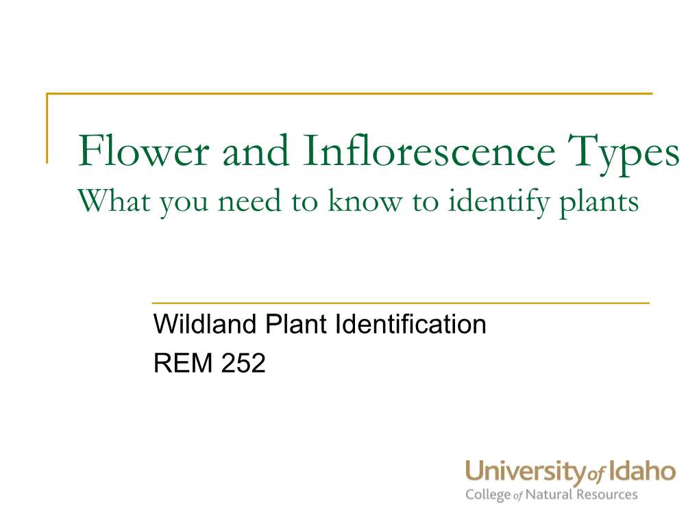 Plant Anatomy & Plant Parts