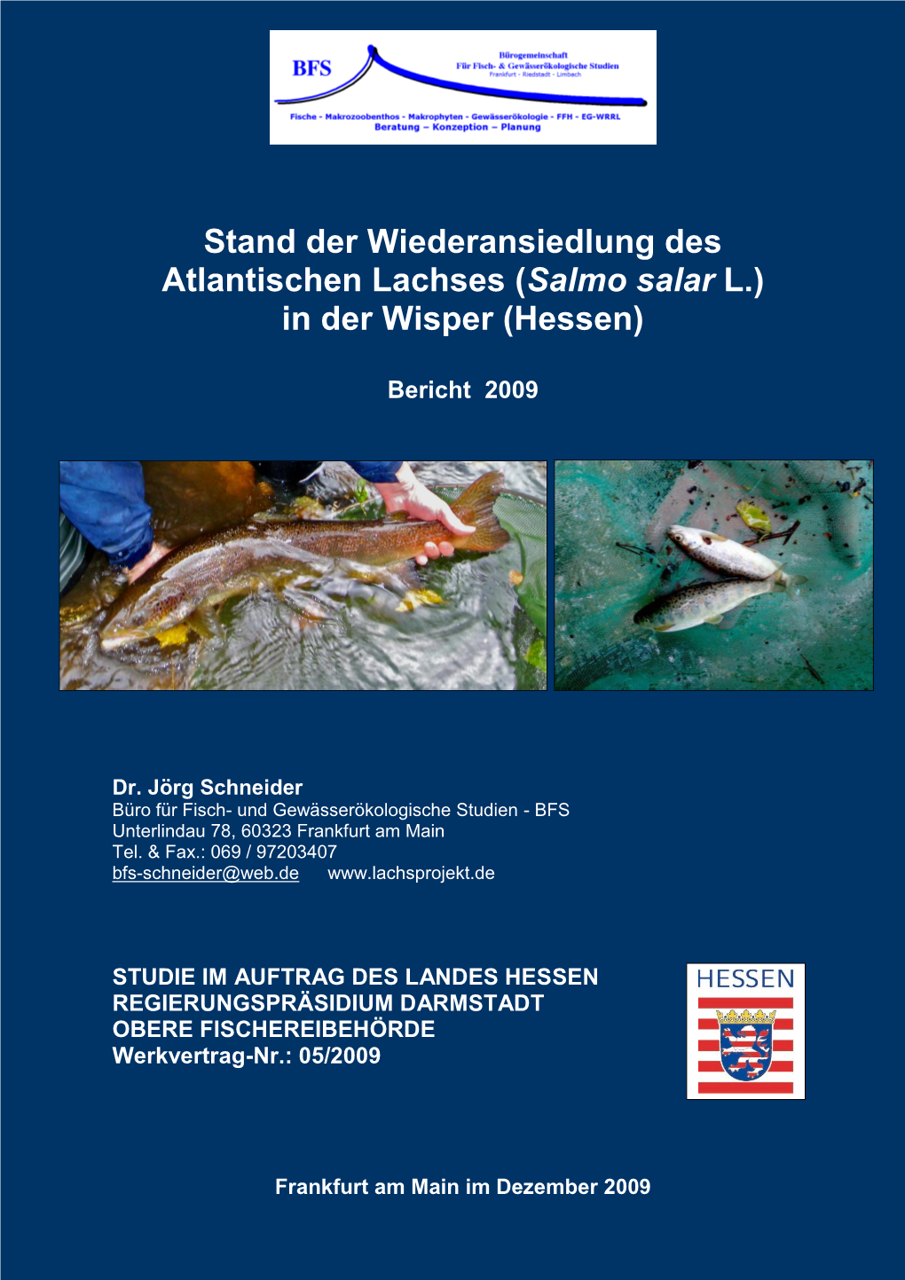 Stand Der Wiederansiedlung Des Atlantischen Lachses (Salmo Salar L.) in Der Wisper (Hessen)