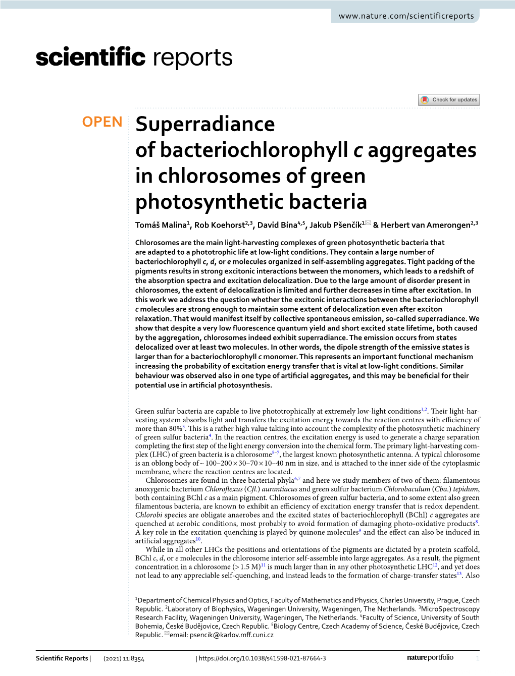 Superradiance of Bacteriochlorophyll C Aggregates in Chlorosomes Of