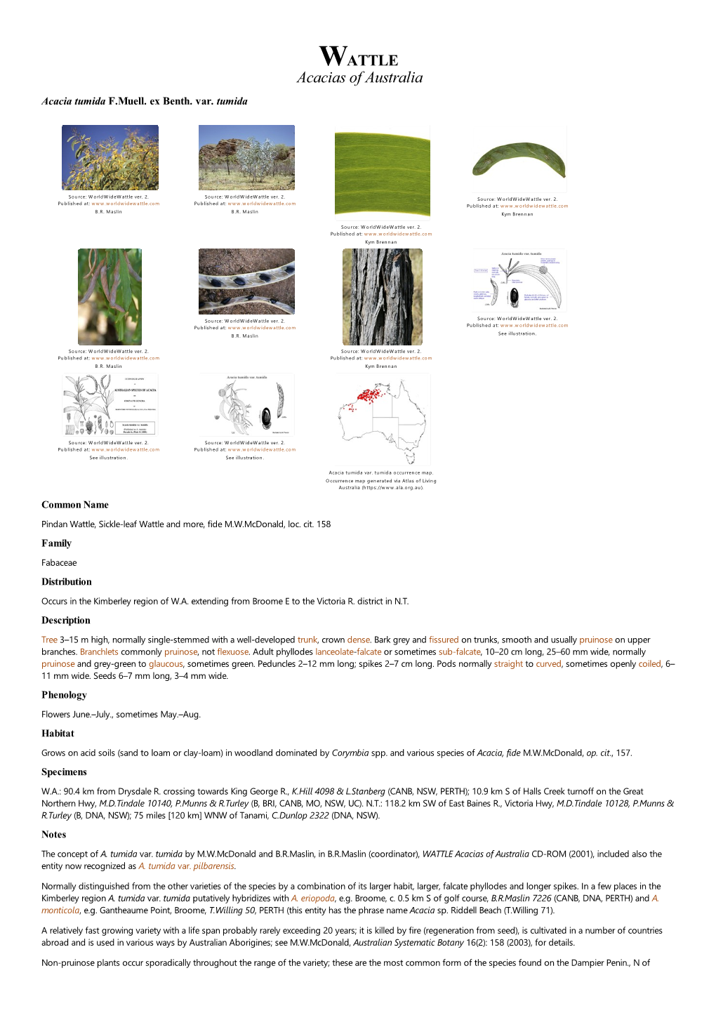 Acacia Tumida Var. Tumida Occurrence Map