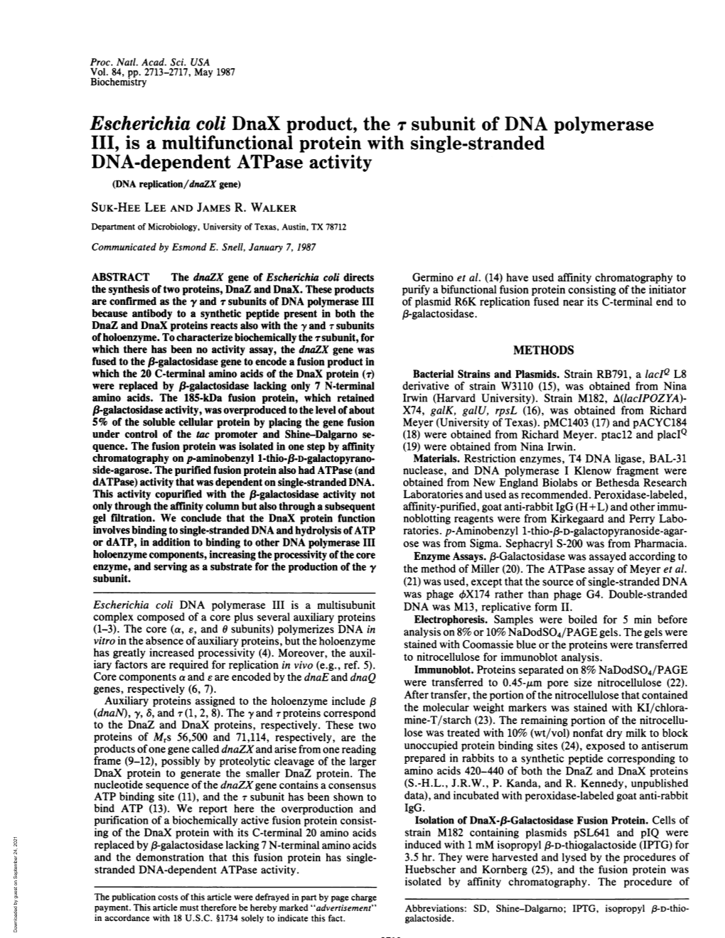 Escherichia Coli Dnax Product, the 7 Subunit of DNA Polymerase