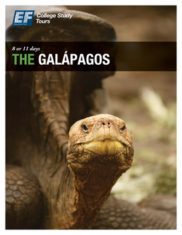 The Galápagos