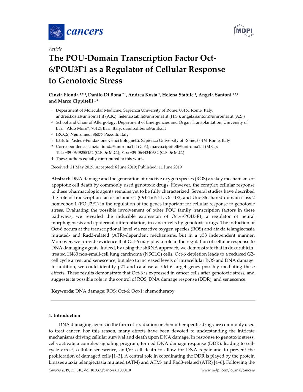 The POU-Domain Transcription Factor Oct- 6/POU3F1 As a Regulator of Cellular Response to Genotoxic Stress