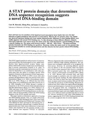 A STAT Protein Domain That Determines DNA Sequence Recognition Suggests a Novel DNA-Binding Domain