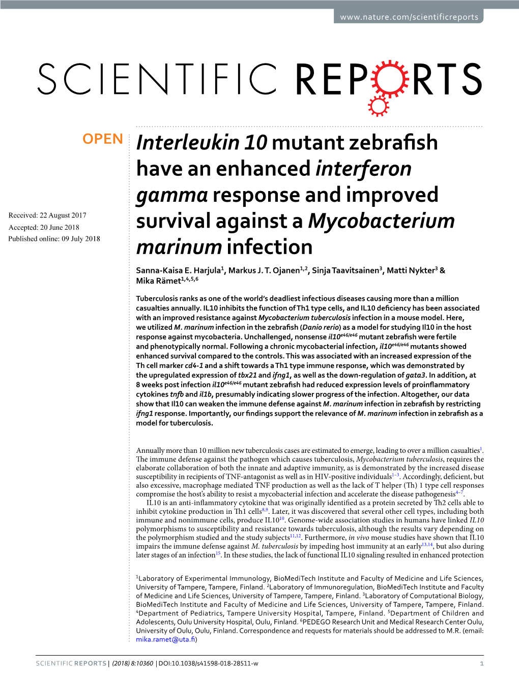 Interleukin 10 Mutant Zebrafish Have an Enhanced Interferon