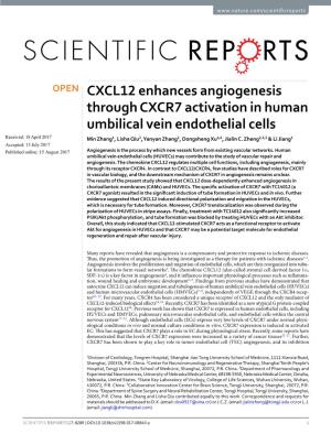 CXCL12 Enhances Angiogenesis Through CXCR7 Activation In