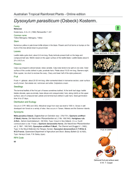 Dysoxylum Parasiticum (Osbeck) Kosterm