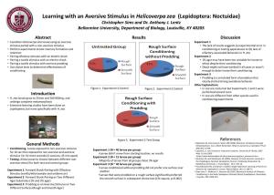 Learning with an Aversive Stimulus in Helicoverpa Zea (Lepidoptera: Noctuidae) Christopher Sims and Dr