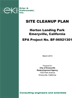 Site Cleanup Plan